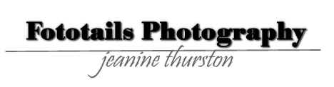 CO_FototailsPhotography.jpg (6528 bytes)